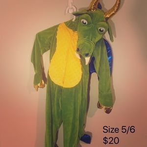 Dragon Costume